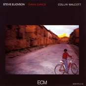 Steve Eliovson - Earth End