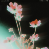 nobody (make me feel) - Single