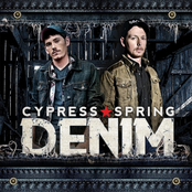 Cypress Spring: Denim