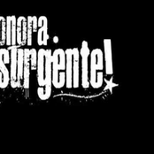 Sonora Insurgente