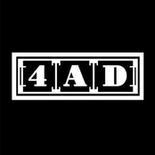 Rare4AD