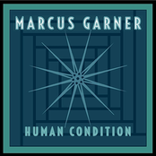 Human Condition