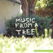 Music From A Tree