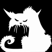 everything you missed