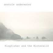 Kingfisher and the Winterwild