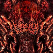 Obsolescence Of Humanity