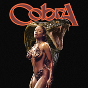 coBRA - single