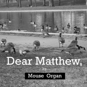 mouse organ