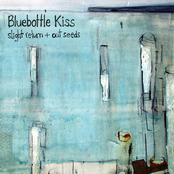 Ghosts Of Mosman by Bluebottle Kiss