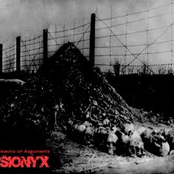 Tribute of Auschwitz
