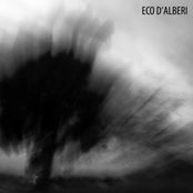 eco d'alberi