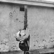 portraits of american firing squads