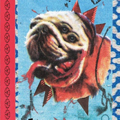 Split Tape Mommy Boys / Ponys auf Pump