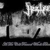 As The Cold Funeral Wind Blows (Demo)