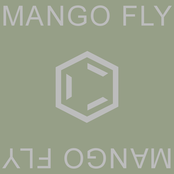 Mango Fly