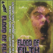 Flood Of Filth (4-Way Split)