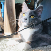 so far apart yet so close together