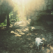 Stifled Spirit (Deluxe Edition)