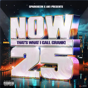 Now That's What I Call Crank! 25