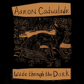 Wade through the Dark