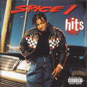 The Thug In Me by Spice 1