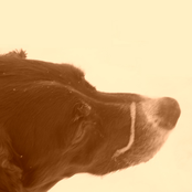 Things I Can't Stand