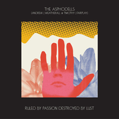 the asphodells (andrew weatherall  timothy j fairplay)