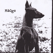 Dog In City With Plans