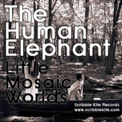 Little Mosaic Worlds