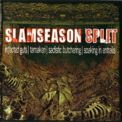 Slamseason Split