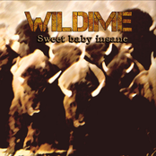 Sweet Baby Insane - Single