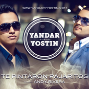 yandar & yostin