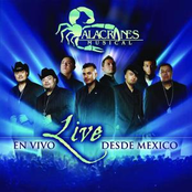 A Cambio De Que by Alacranes Musical