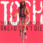 Fools Die by Peter Tosh