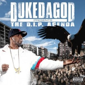 D.I.P. Agenda
