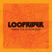 Inside The Ouroboros