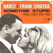 Something Stupid