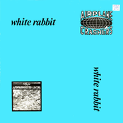 White Rabbit