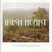 irish heart