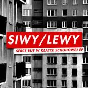Serce Bije W Klatce Schodowej