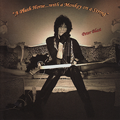 A Plush Horse... With A Monkey On A String