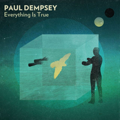 Bird In A Basement by Paul Dempsey