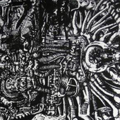 The Tentacles Of The Octopus Sometimes Compete Against Each Other