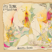 Ayla Brook: Desolation Sounds