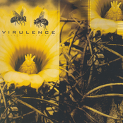 Cementing With Introspection by Virulence