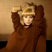 mireille darc