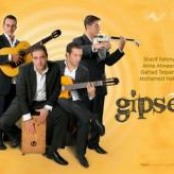 gipsea band