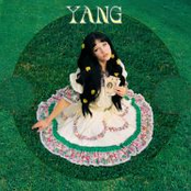 YANG