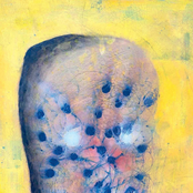 dot rip ● through the cracks