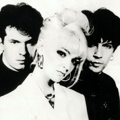 the primitives